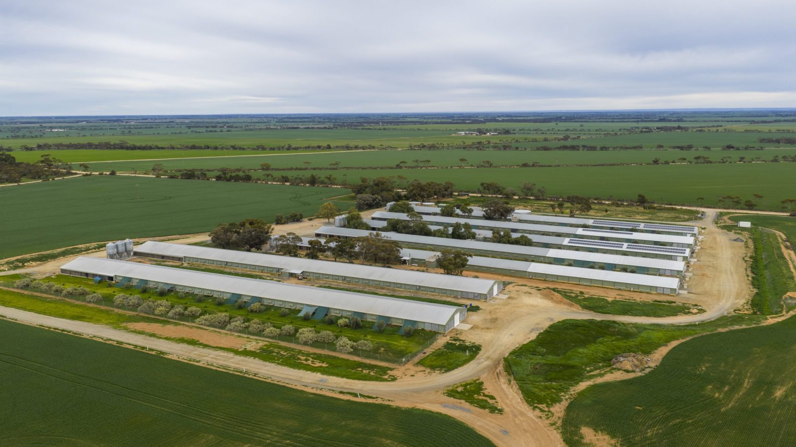 Chicken farm deployment