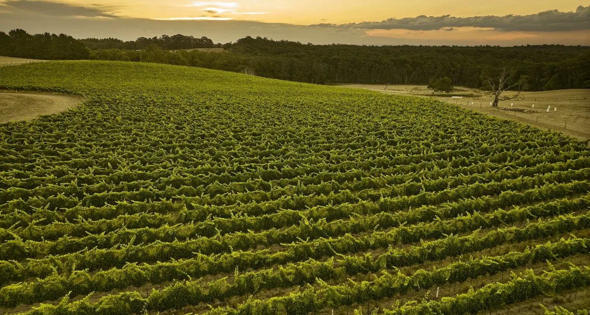 Winery deployment